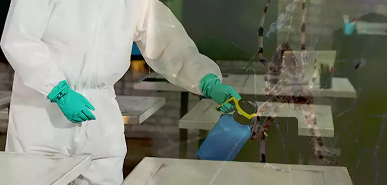 Why Buyers Still Want Homes With Pest Infestations in Hialeah, FL?